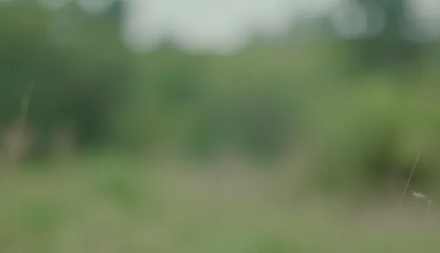 宣传片拍摄执行中的常见问题与检查要点